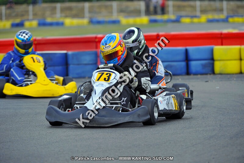 DSC_ (2498).jpg